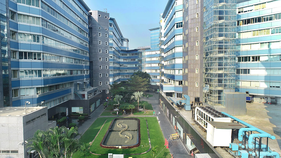 Collection of polished wholesale diamonds showing variety and quality